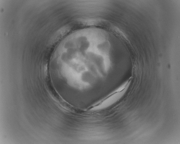 X0000075900406200610062123