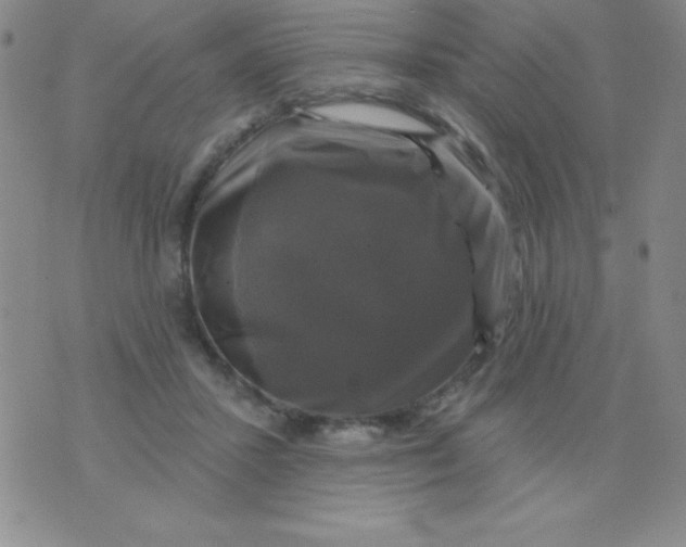 X0000075900407200610062123