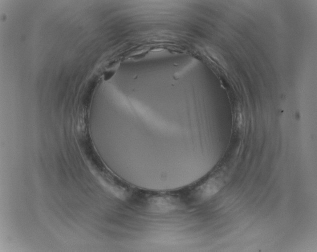 X0000075900408200610062123