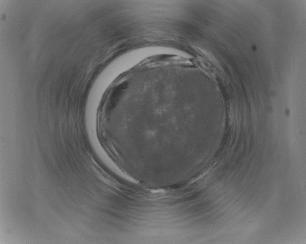 X0000075900409200610062123