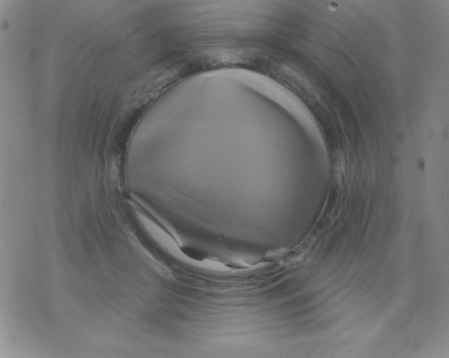 X0000075900410200610062123