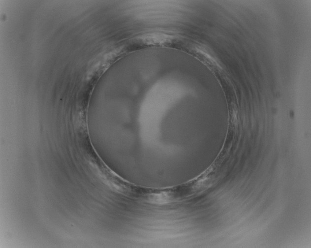 X0000075900411200610062123