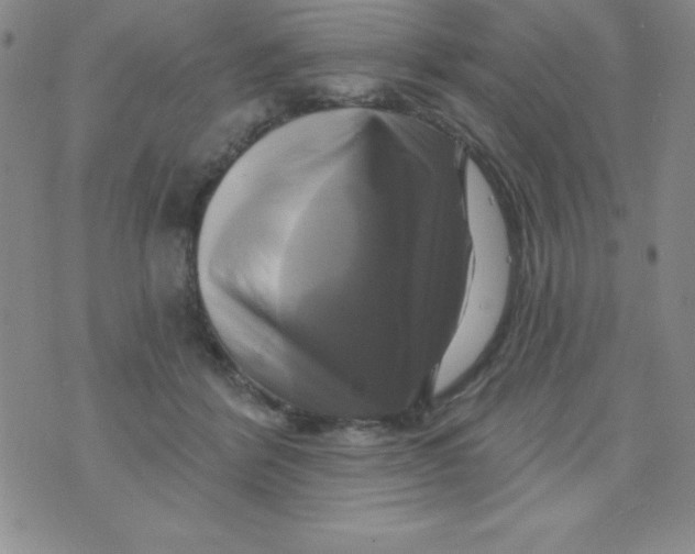 X0000075900412200610062123