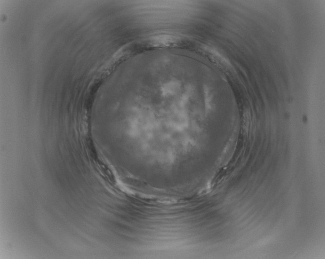 X0000075900413200610062123