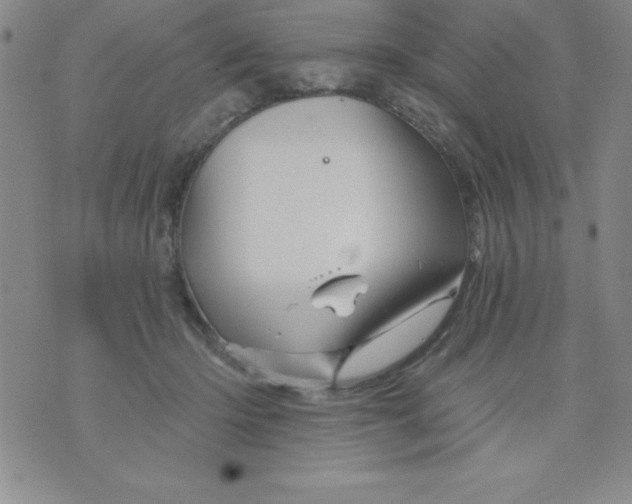 X0000075900414200610062123