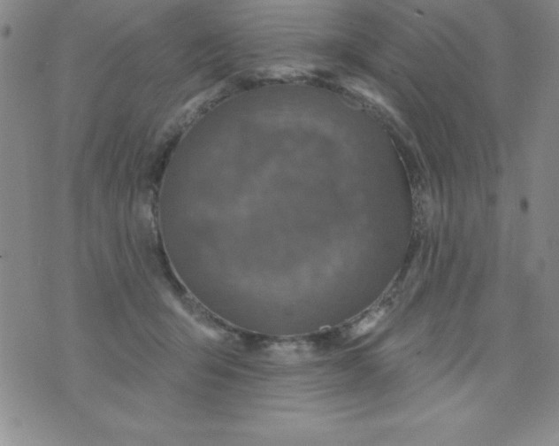 X0000075900415200610062123