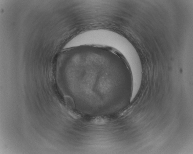 X0000075900416200610062123