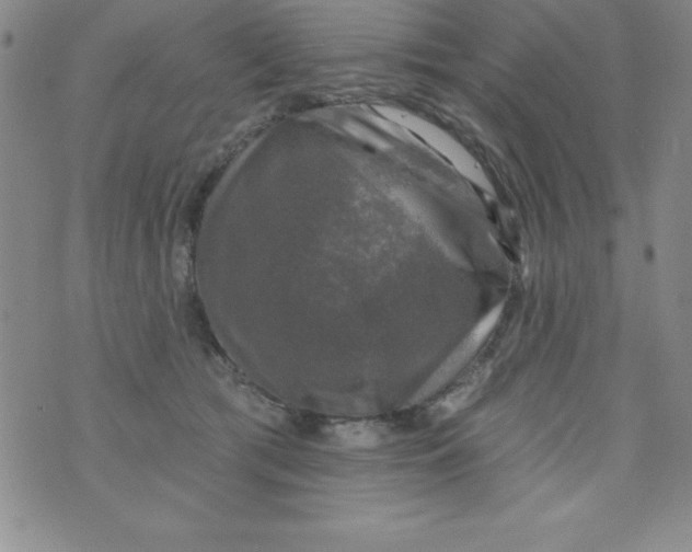 X0000075900417200610062123