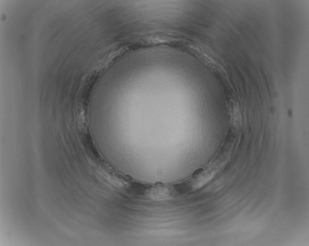 X0000075900418200610062122