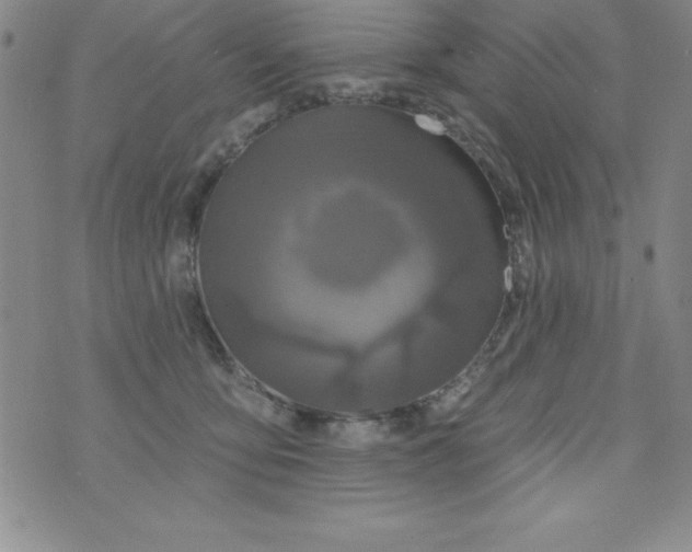 X0000075900419200610062122