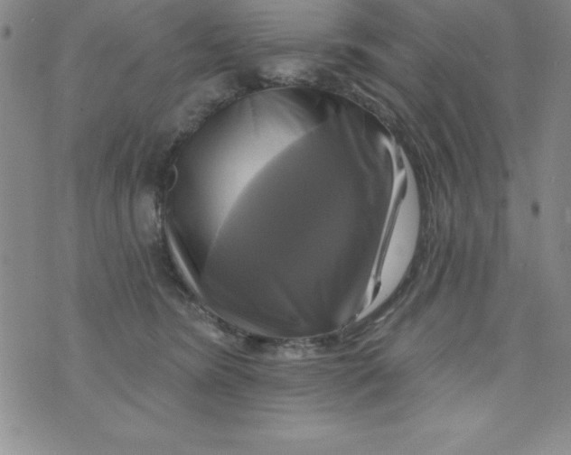 X0000075900420200610062122