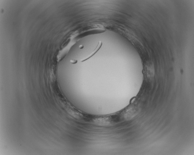 X0000075900422200610062122