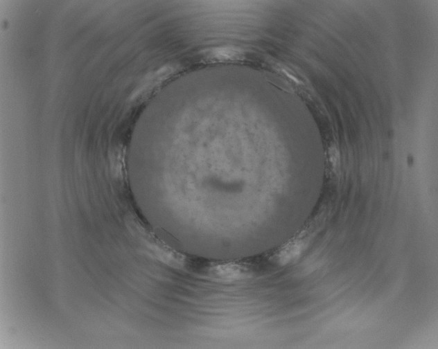 X0000075900423200610062122