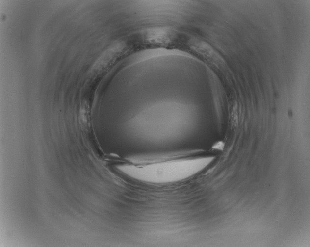 X0000075900424200610062122