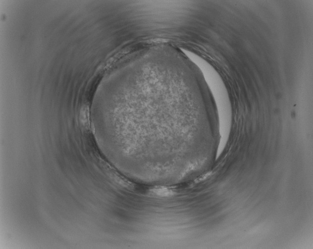 X0000075900425200610062122