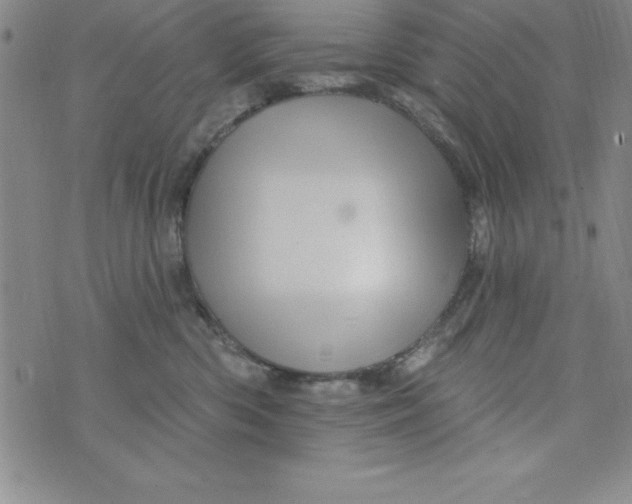 X0000075900426200610062122