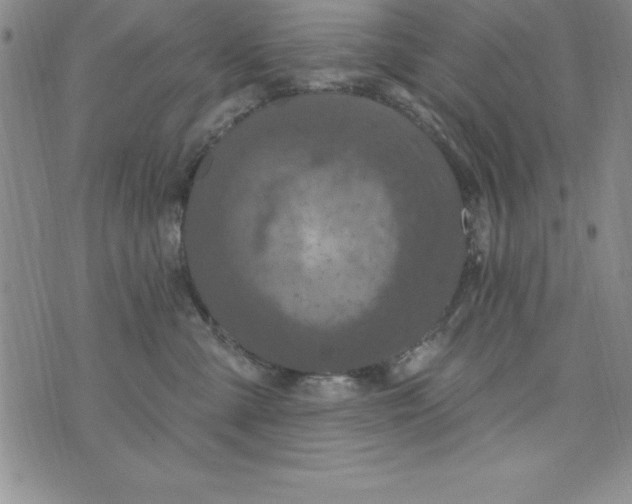 X0000075900427200610062122