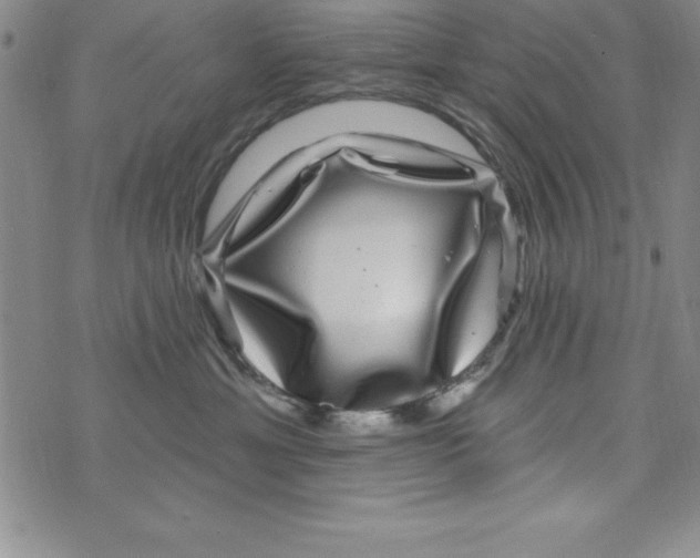 X0000075900429200610062122