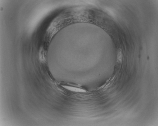 X0000075900431200610062122