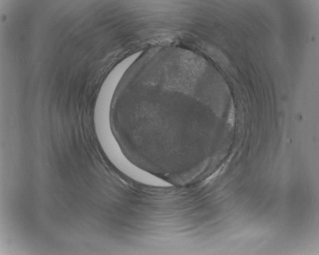 X0000075900432200610062122