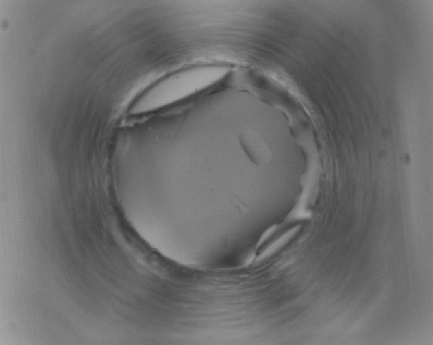 X0000075900434200610062122