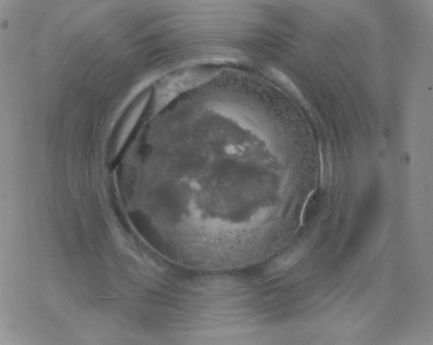 X0000075900435200610062122