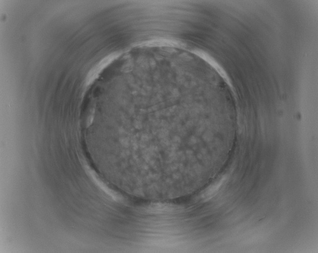 X0000075900437200610062122