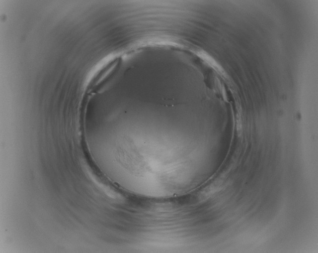 X0000075900438200610062122