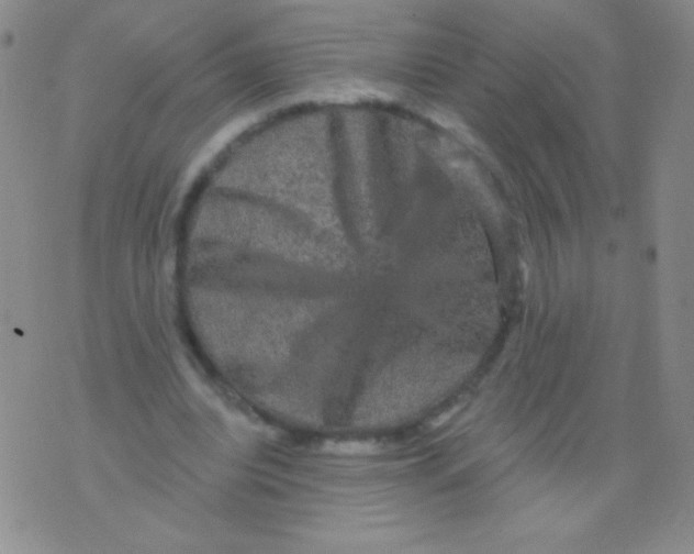 X0000075900440200610062122