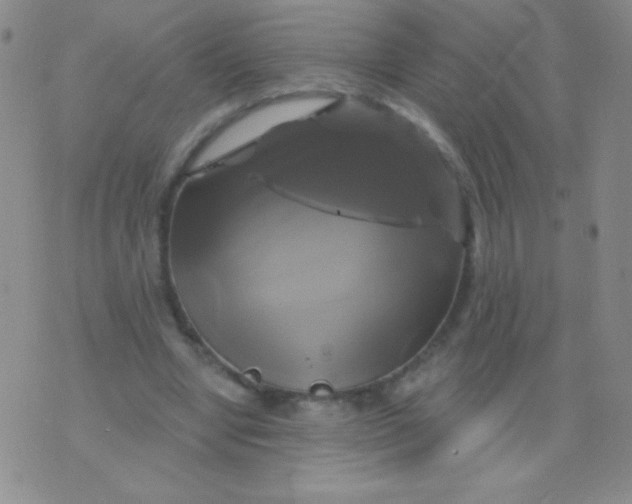 X0000075900442200610062122