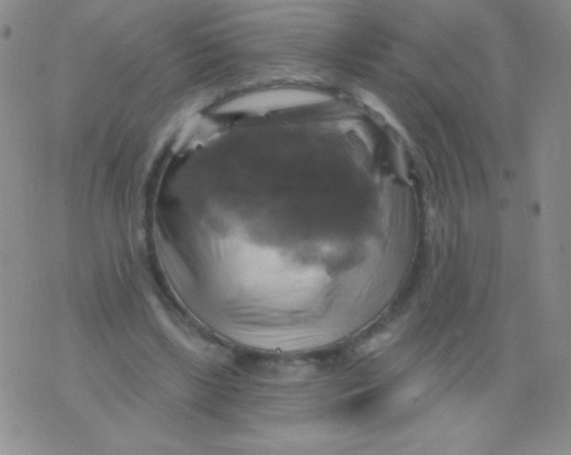 X0000075900443200610062122