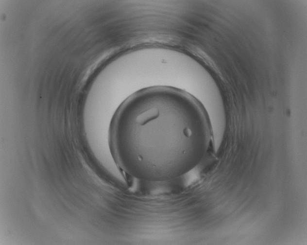 X0000075900444200610062122