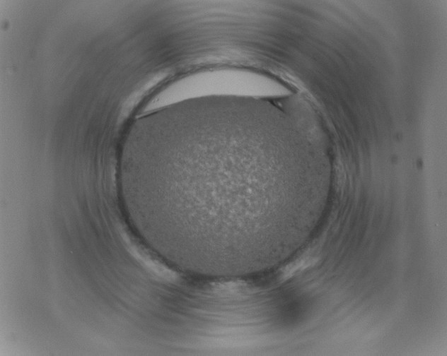 X0000075900446200610062122