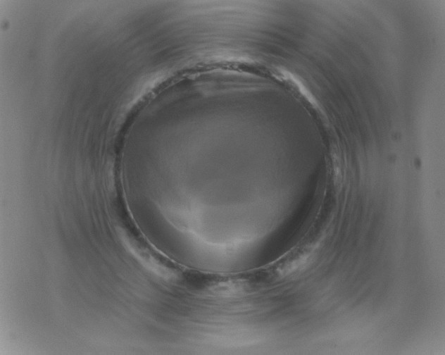 X0000075900447200610062122