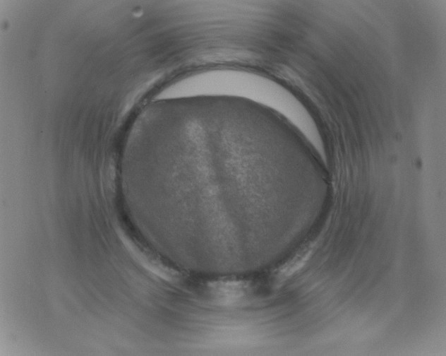 X0000075900448200610062122