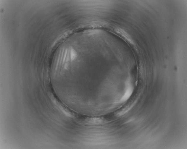 X0000075900449200610062122