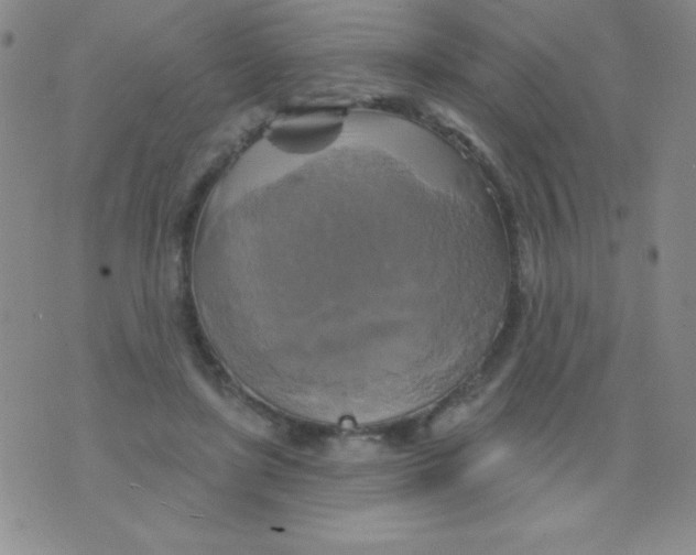 X0000075900451200610062122