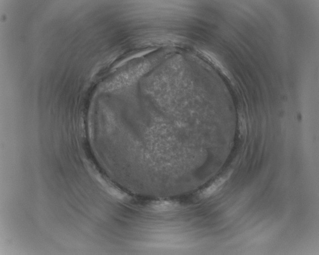 X0000075900453200610062122