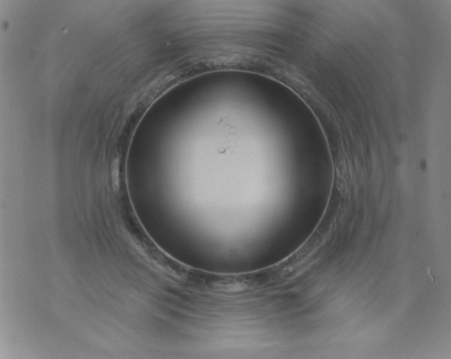 X0000075900454200610062122