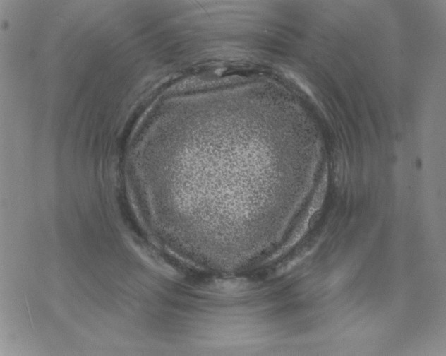 X0000075900455200610062122