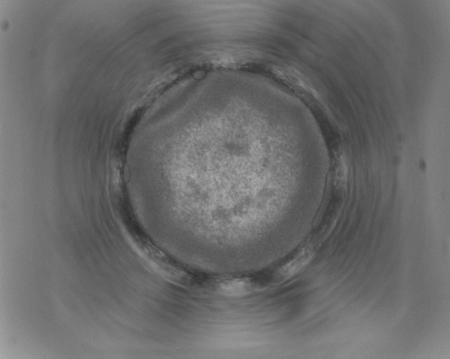 X0000075900456200610062122