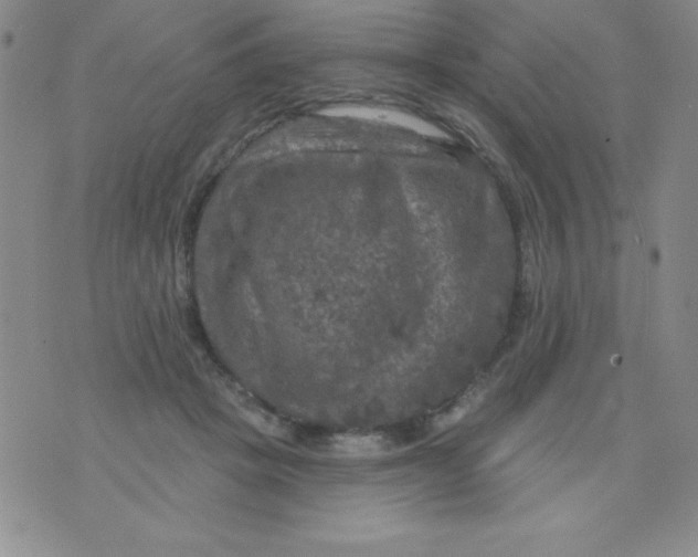 X0000075900457200610062122