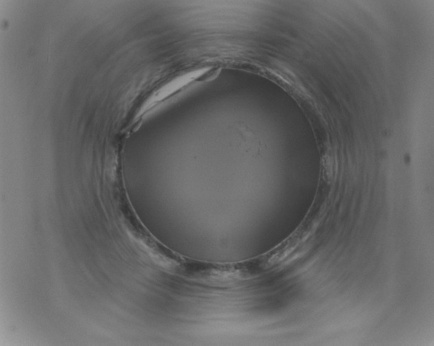 X0000075900458200610062122