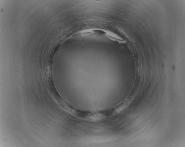 X0000075900459200610062122