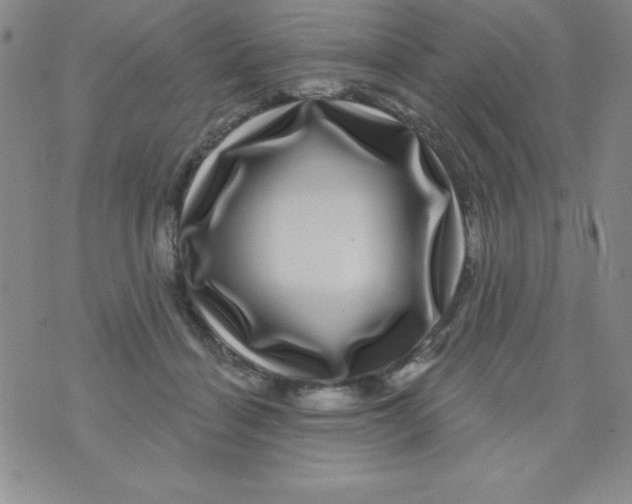 X0000075900460200610062122