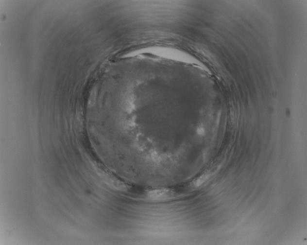 X0000075900461200610062122