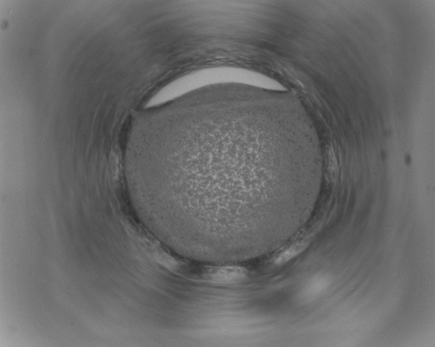 X0000075900463200610062122