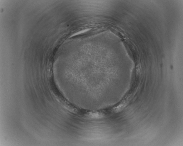 X0000075900464200610062122