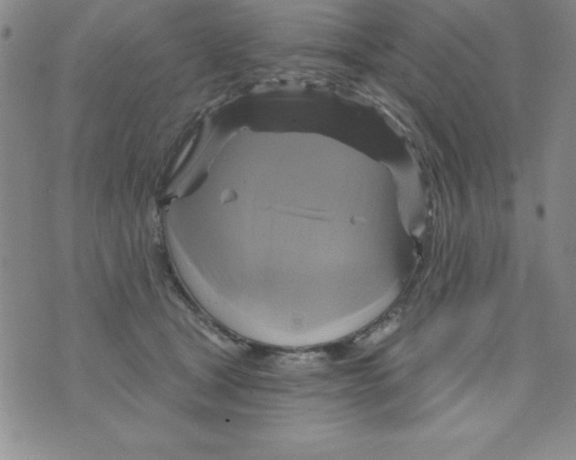 X0000075900465200610062122