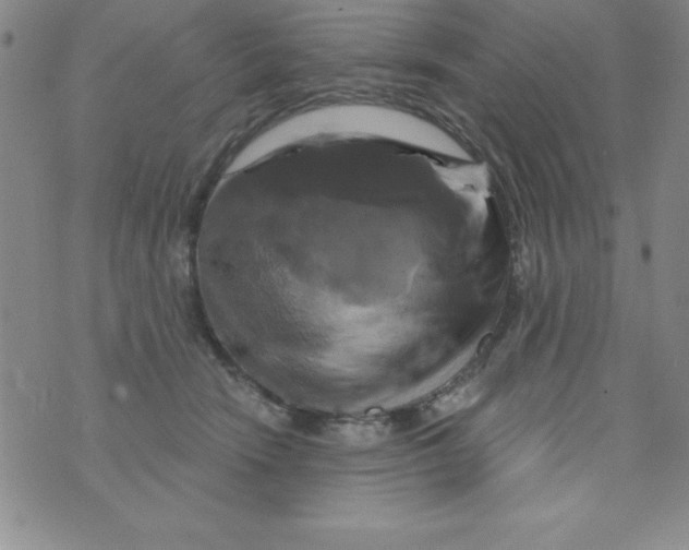 X0000075900466200610062122